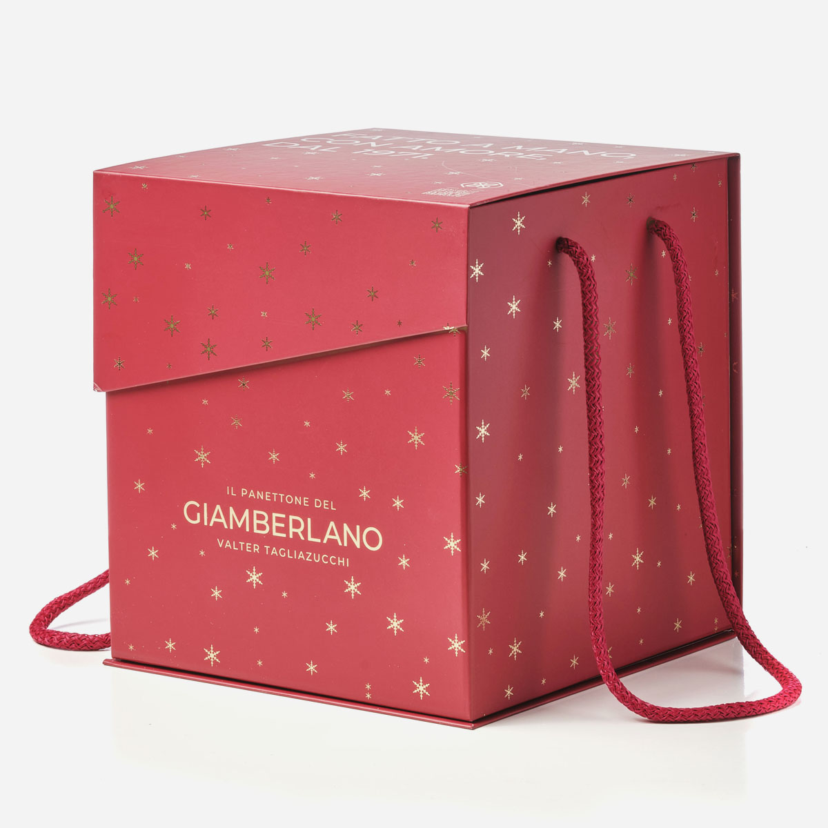 PANETTONE SPAZIALE (TRADICIONAL) 1kg - Imatge 3